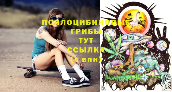 дживик Абинск